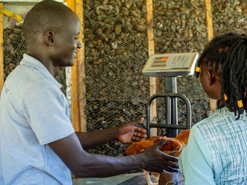 market-access-services